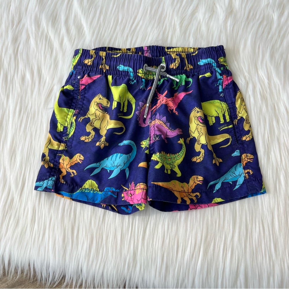 Boardies Dinosaur Swim Trunks